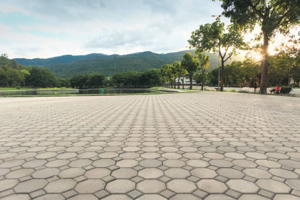 Best Concrete Paver Driveway  in Vass, NC